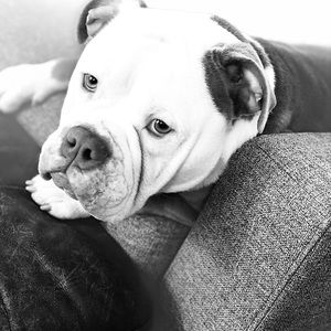 Meet your Posher, Avery